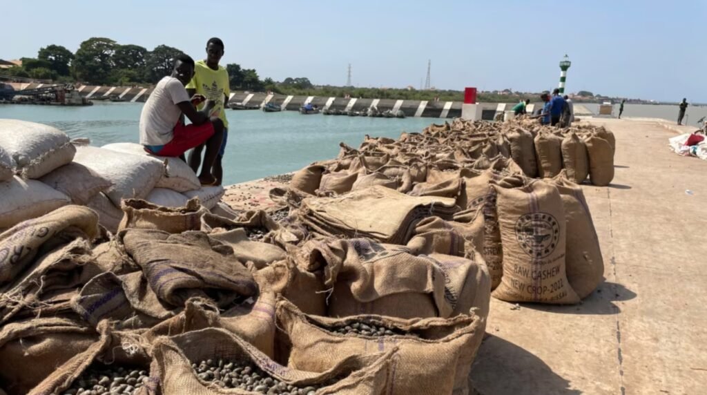 Governo anuncia que já foram exportadas cerca de 90 mil toneladas da castanha de cajú